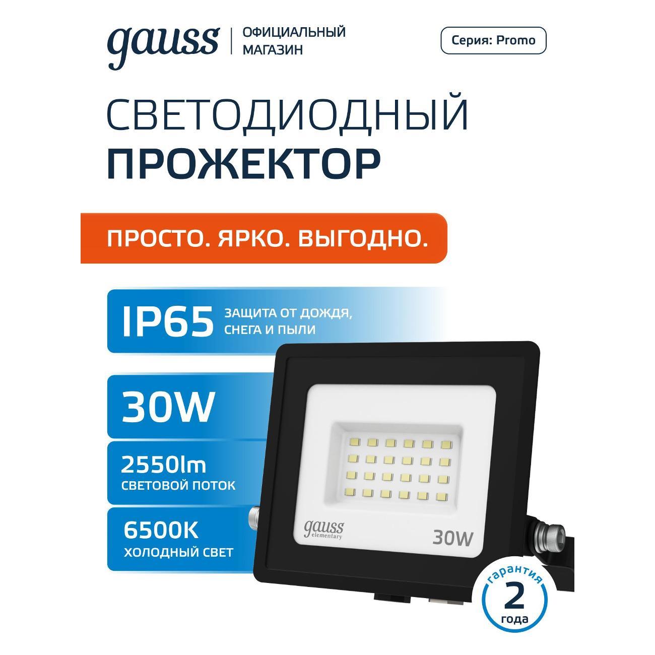 Прожектор строительный Gauss 613100330P