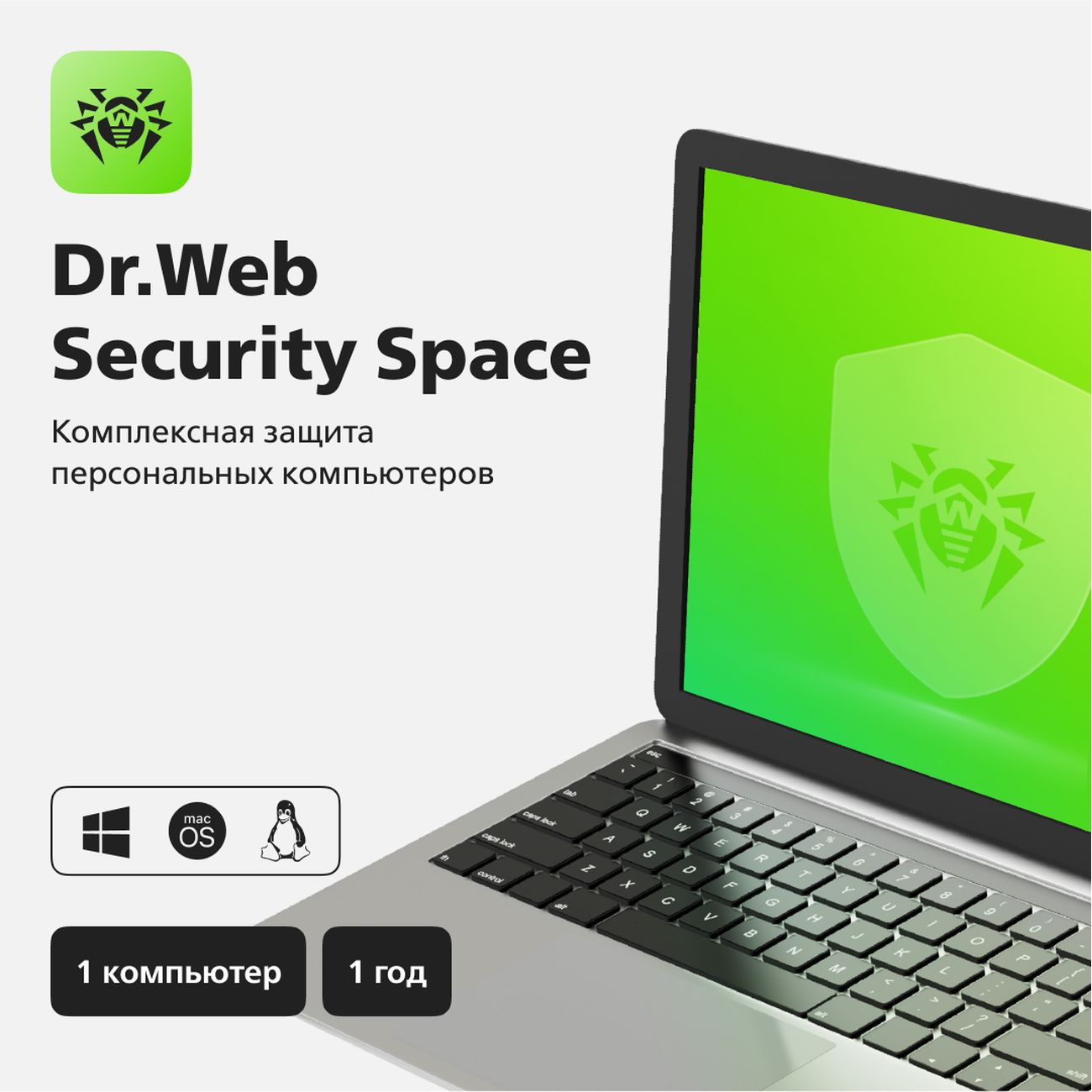 Антивирусы Dr.Web Security Space 12 мес. - 1 ПК