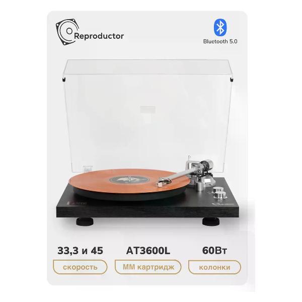 Проигрыватель виниловых дисков Reproductor RP-LPX500