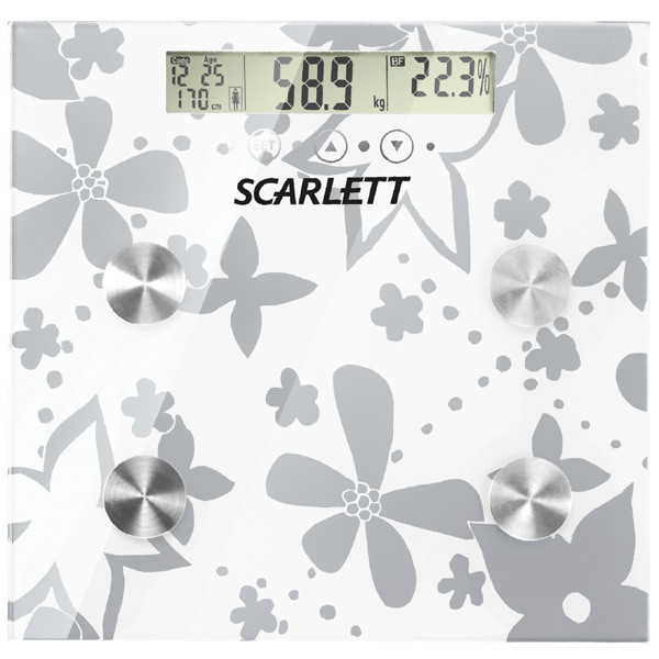   Scarlett Sc 216  -  2