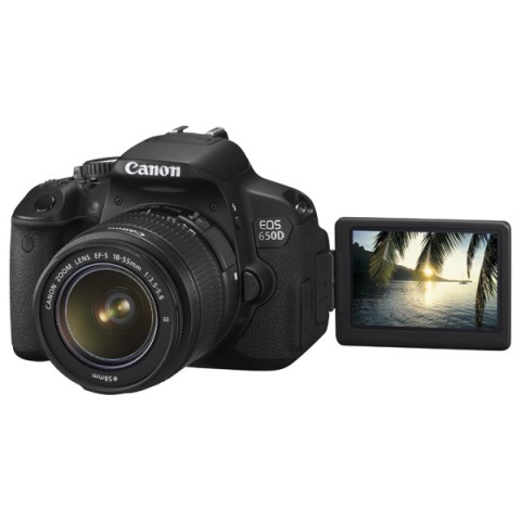  Canon Ds126371  -  5