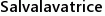 Salvalavatrice