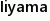 Iiyama