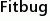 Fitbug