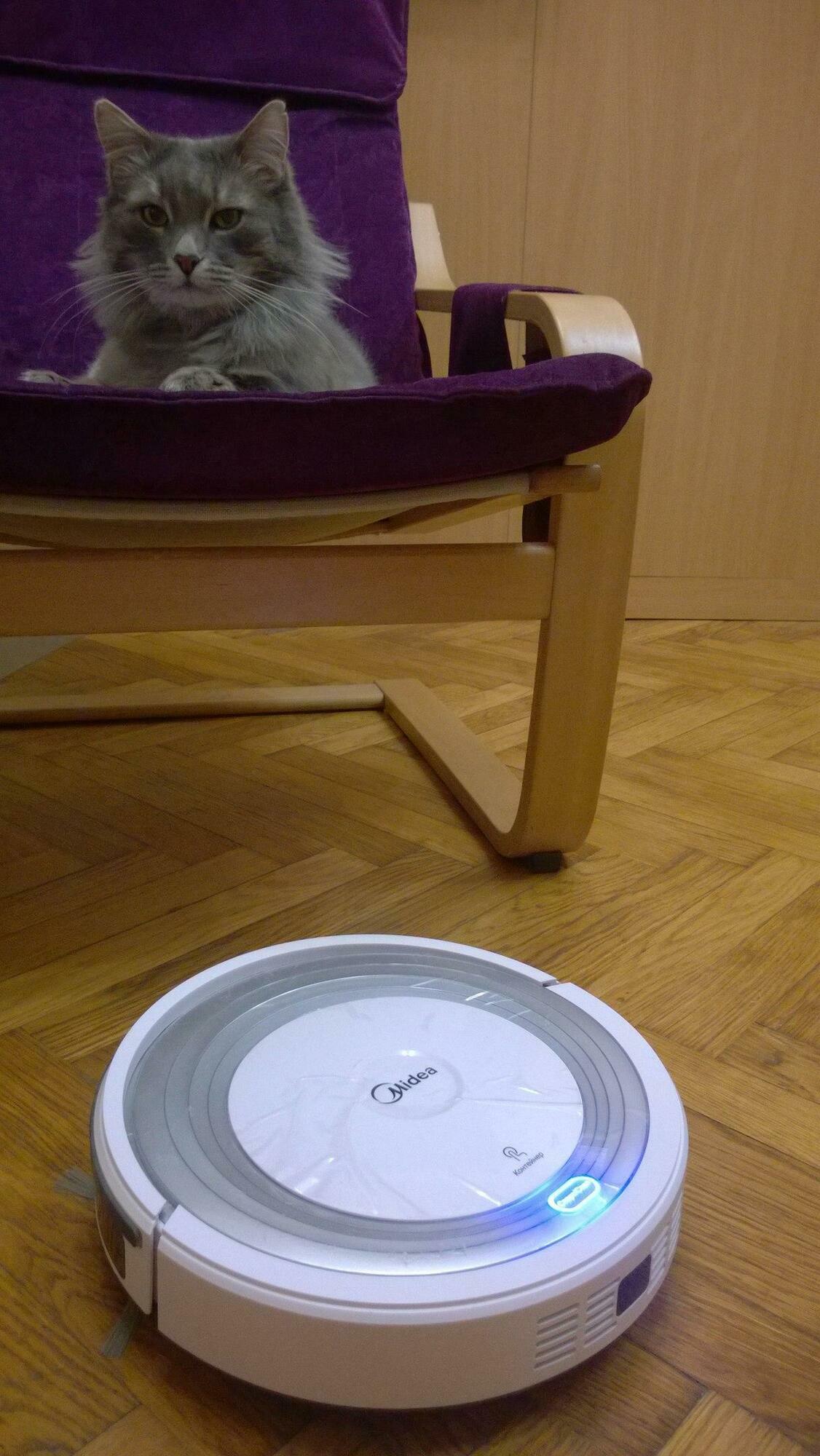 'Отзыв'