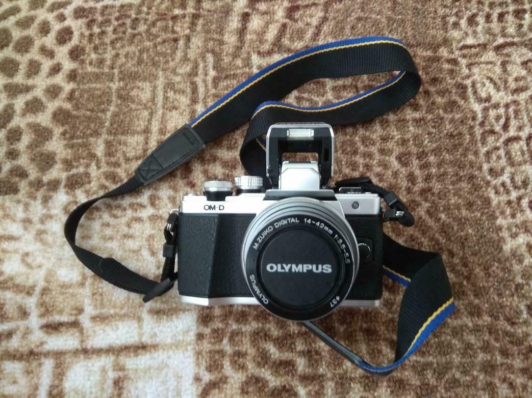 Фотография к отзыву