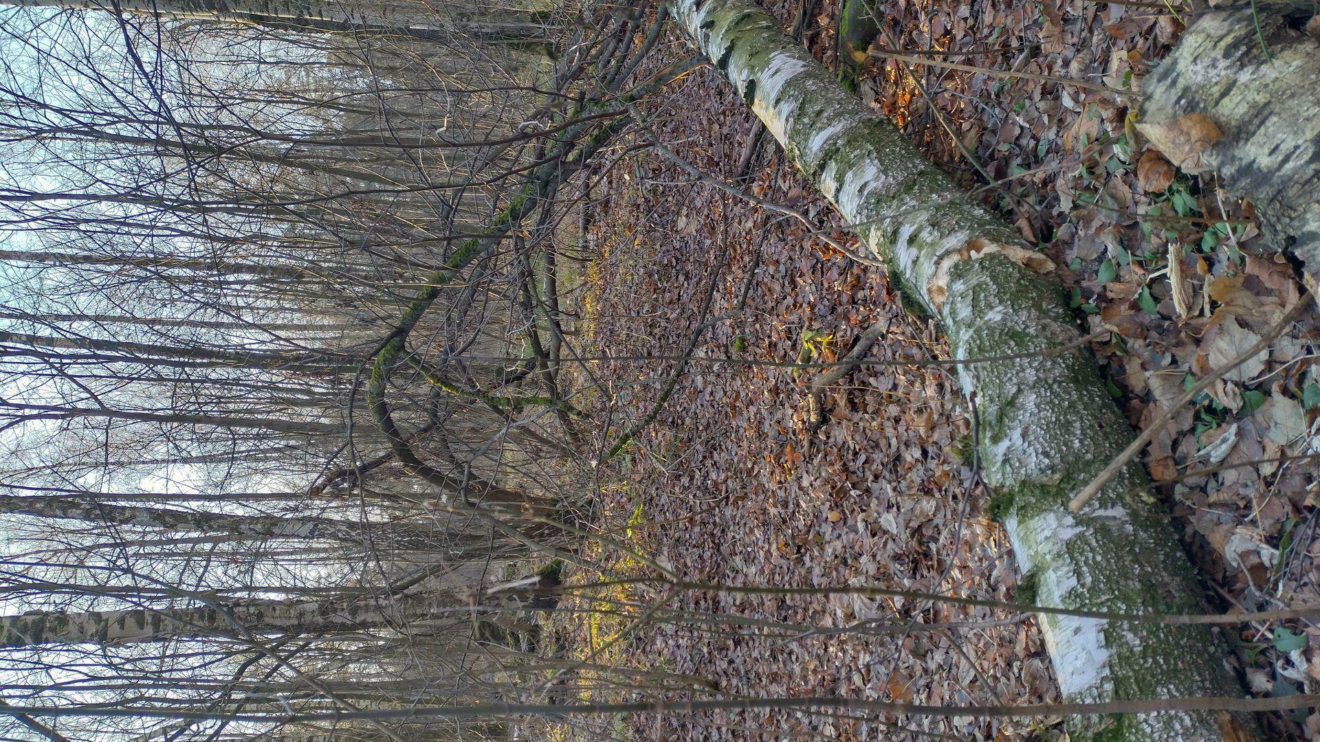 Фотография к отзыву