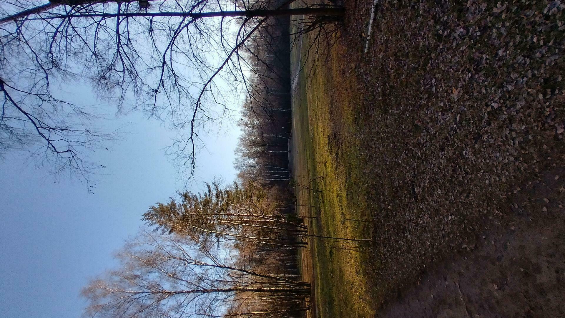 Фотография к отзыву