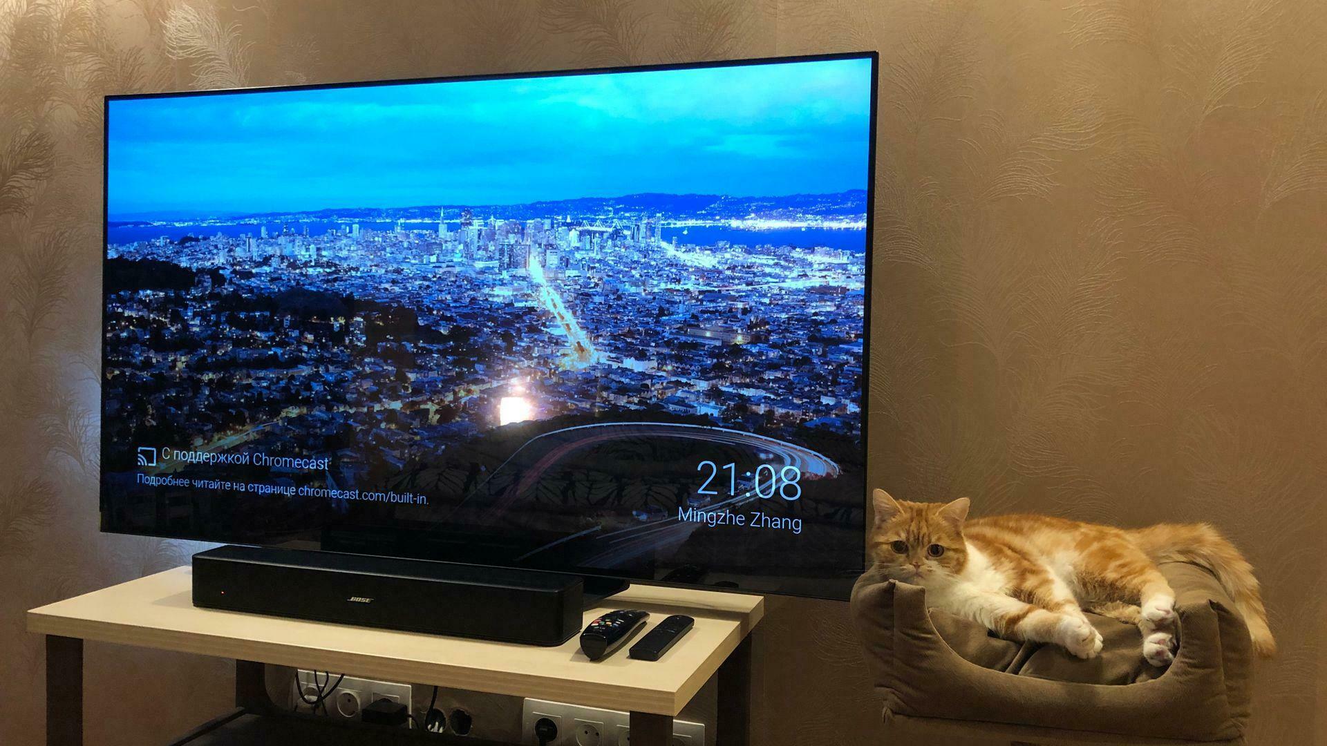 Фотография к отзыву