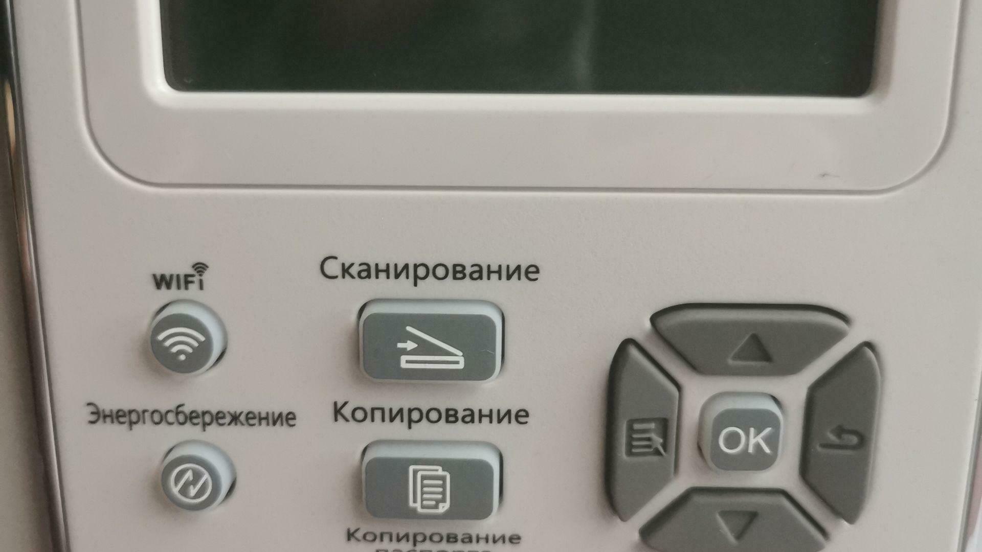 Фотография к отзыву