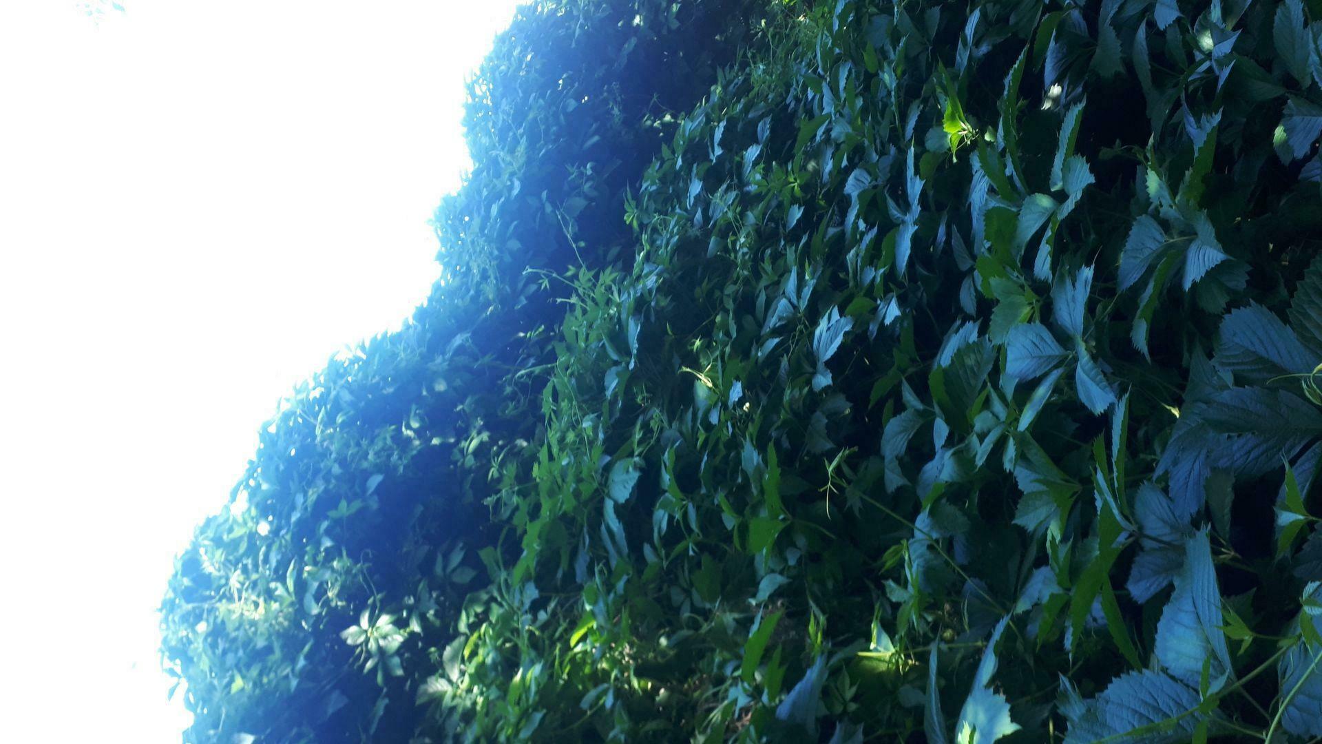 Фотография к отзыву