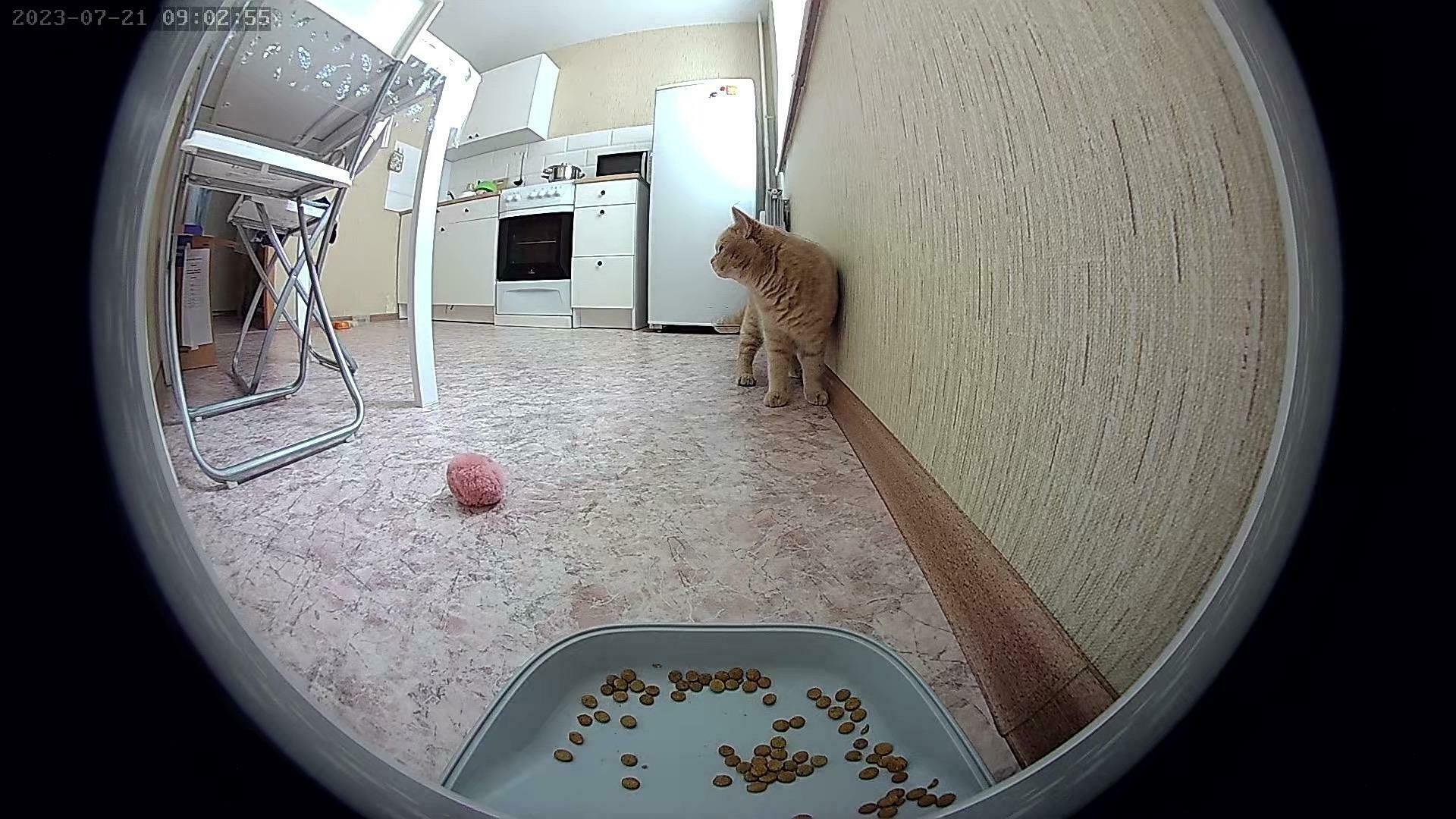 Фотография к отзыву