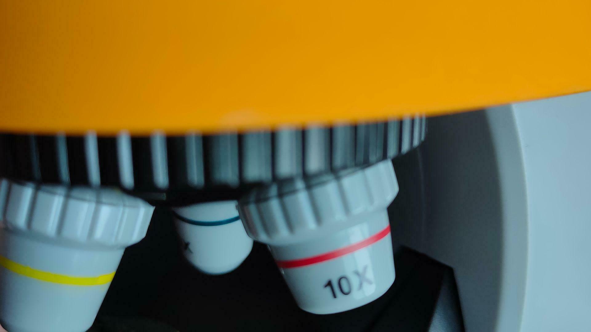 Фотография к отзыву