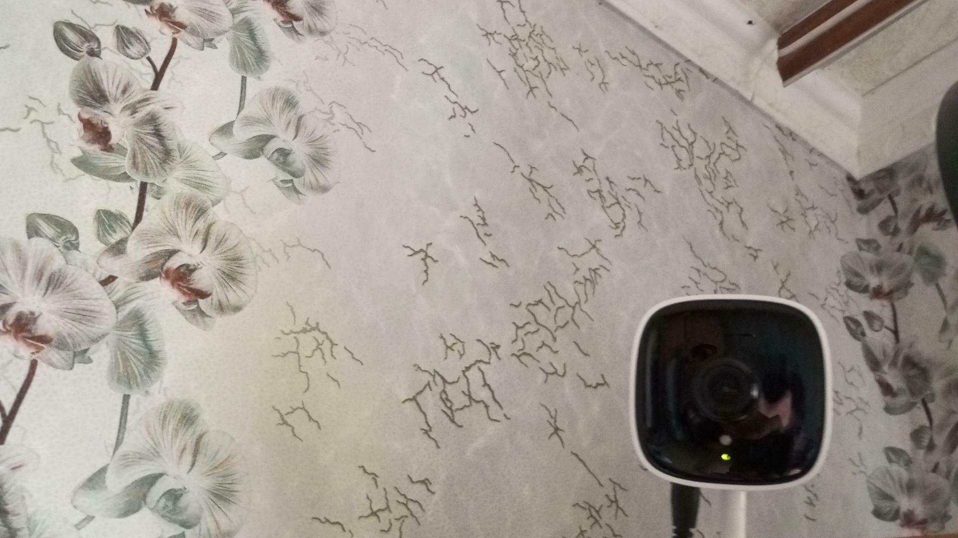 Фотография к отзыву