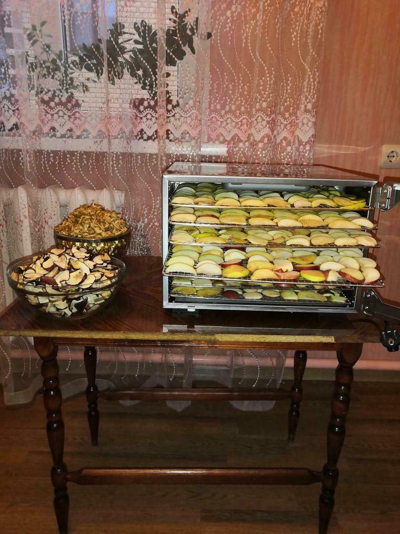 Фотография к отзыву