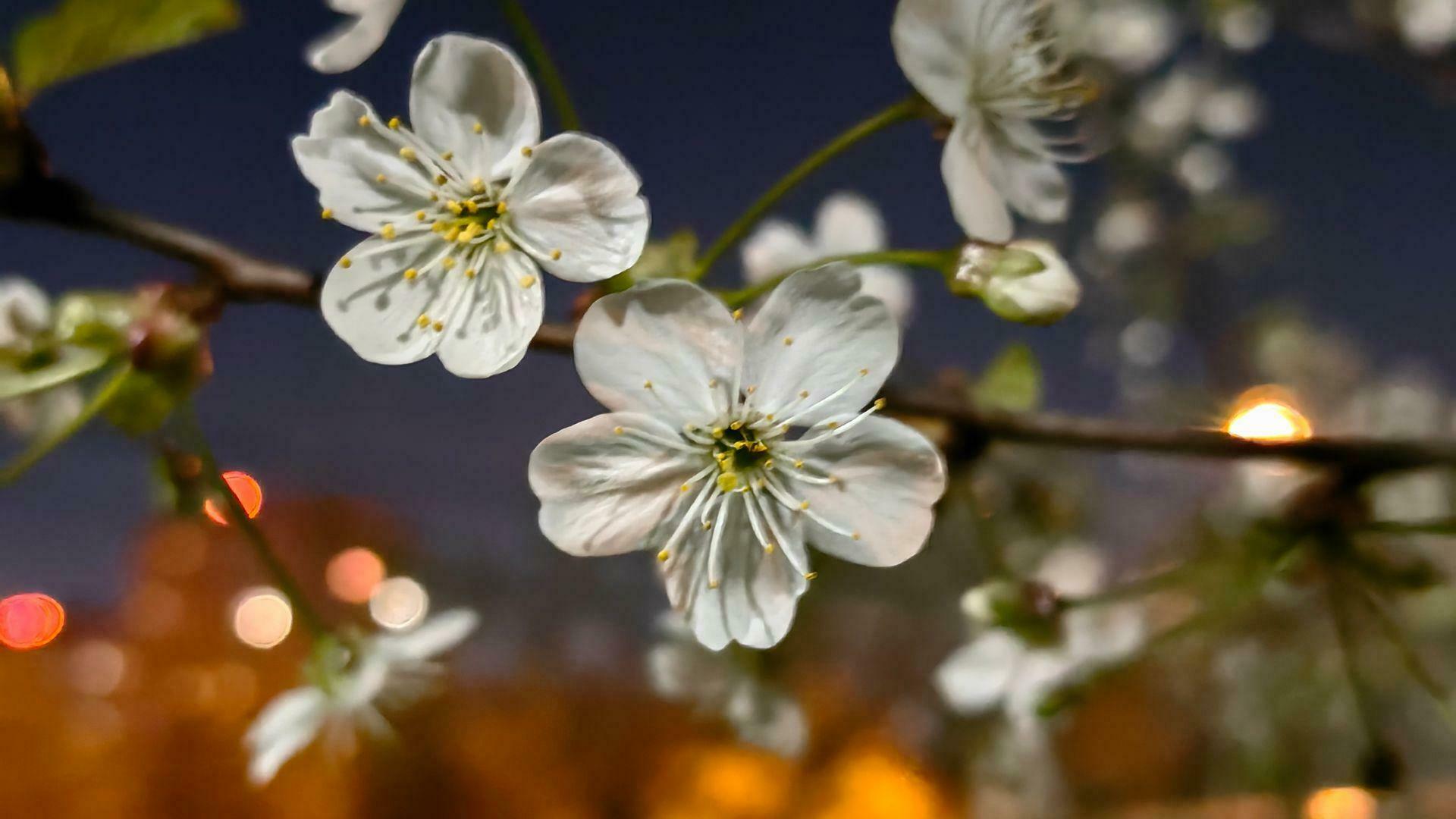 Фотография к отзыву