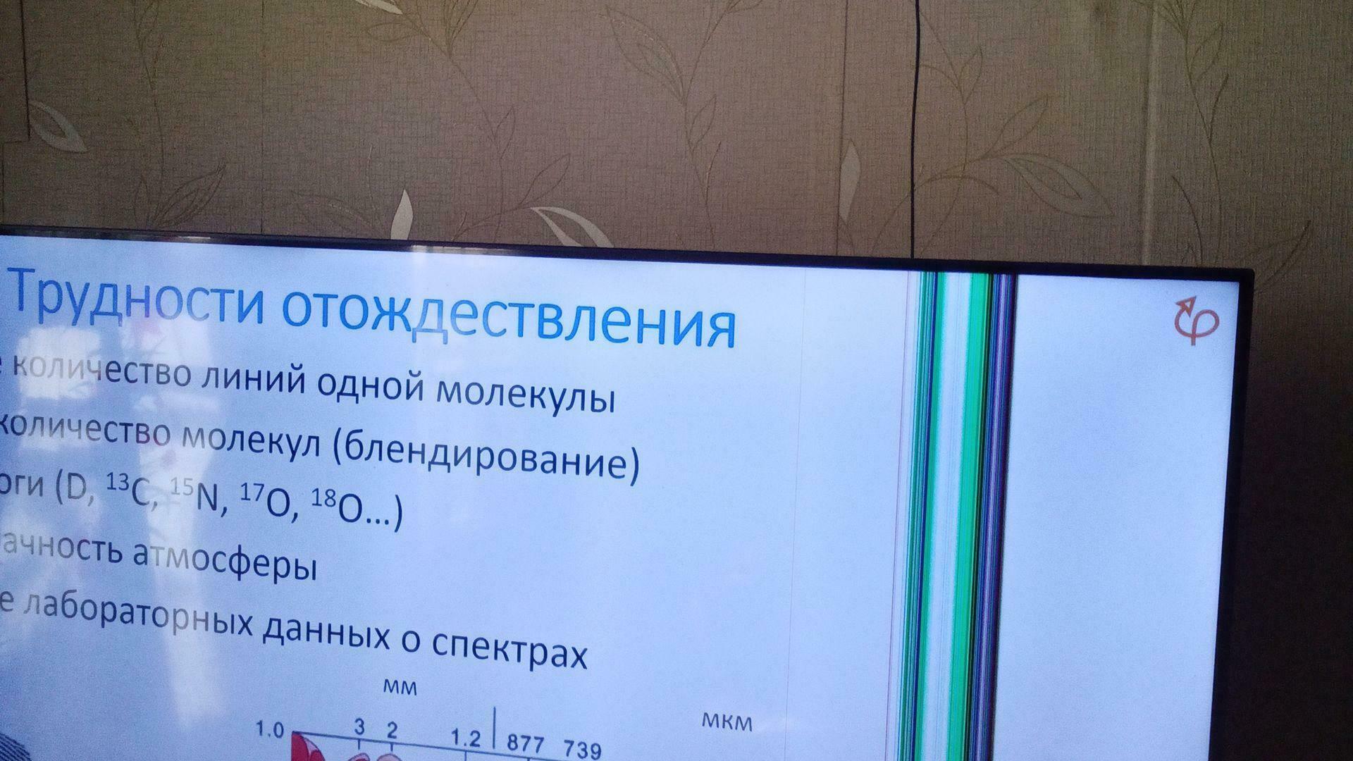 Фотография к отзыву