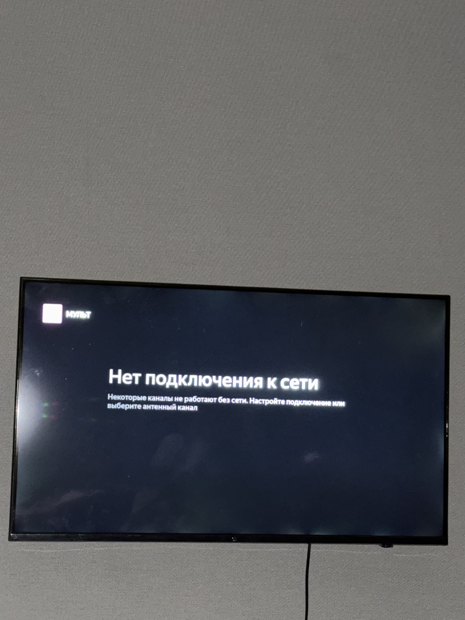 Фотография к отзыву