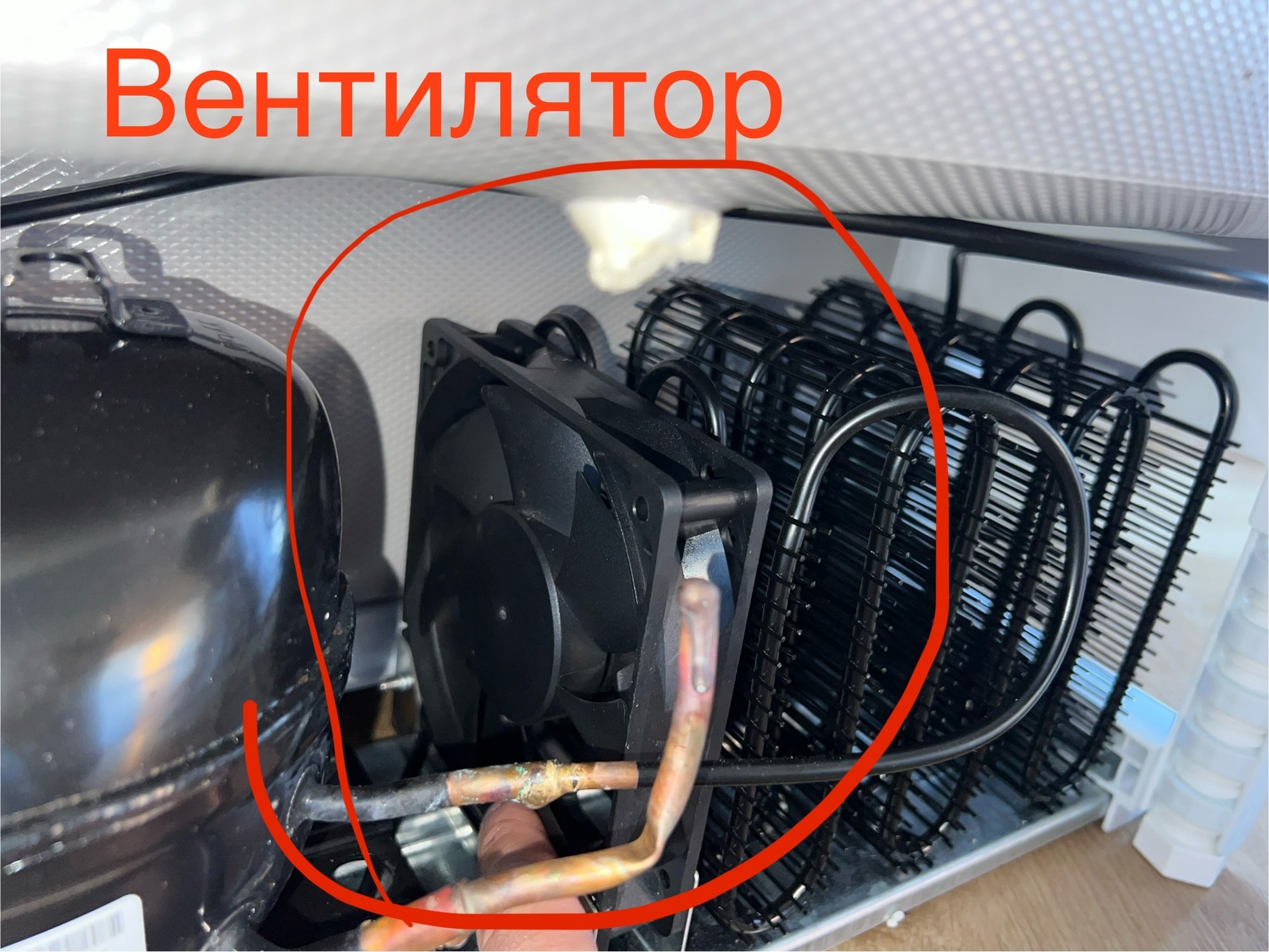 Фотография к отзыву
