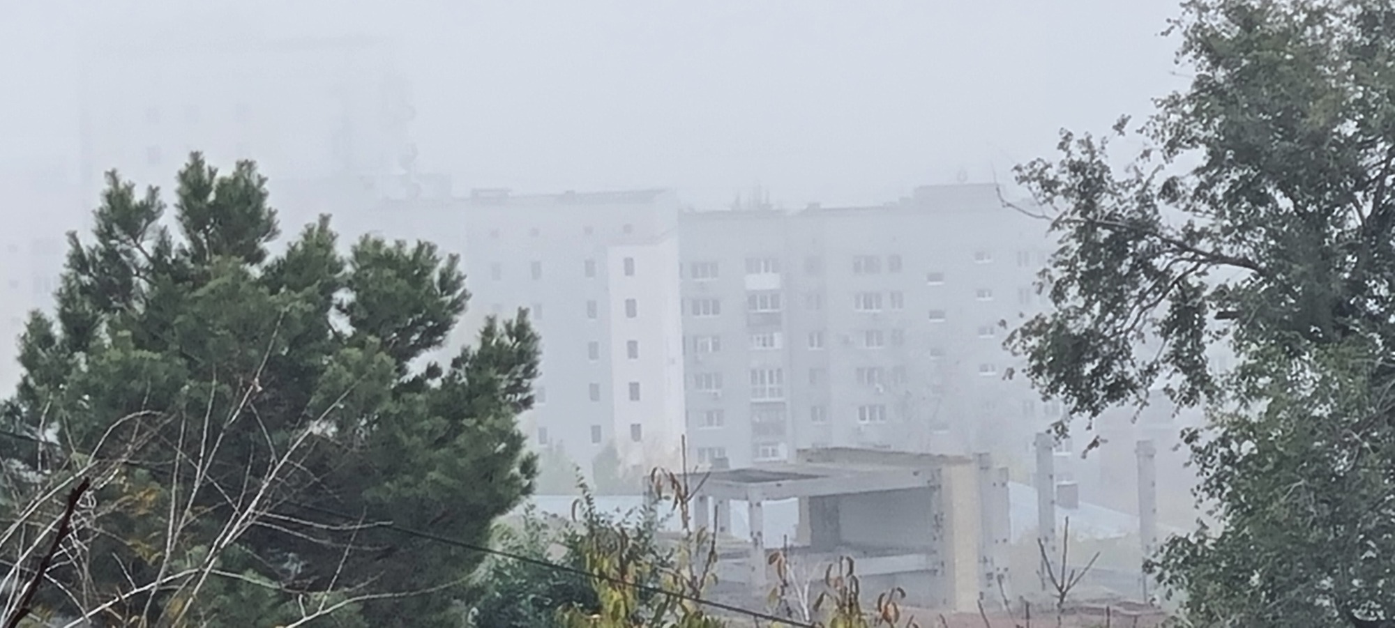 'Отзыв'