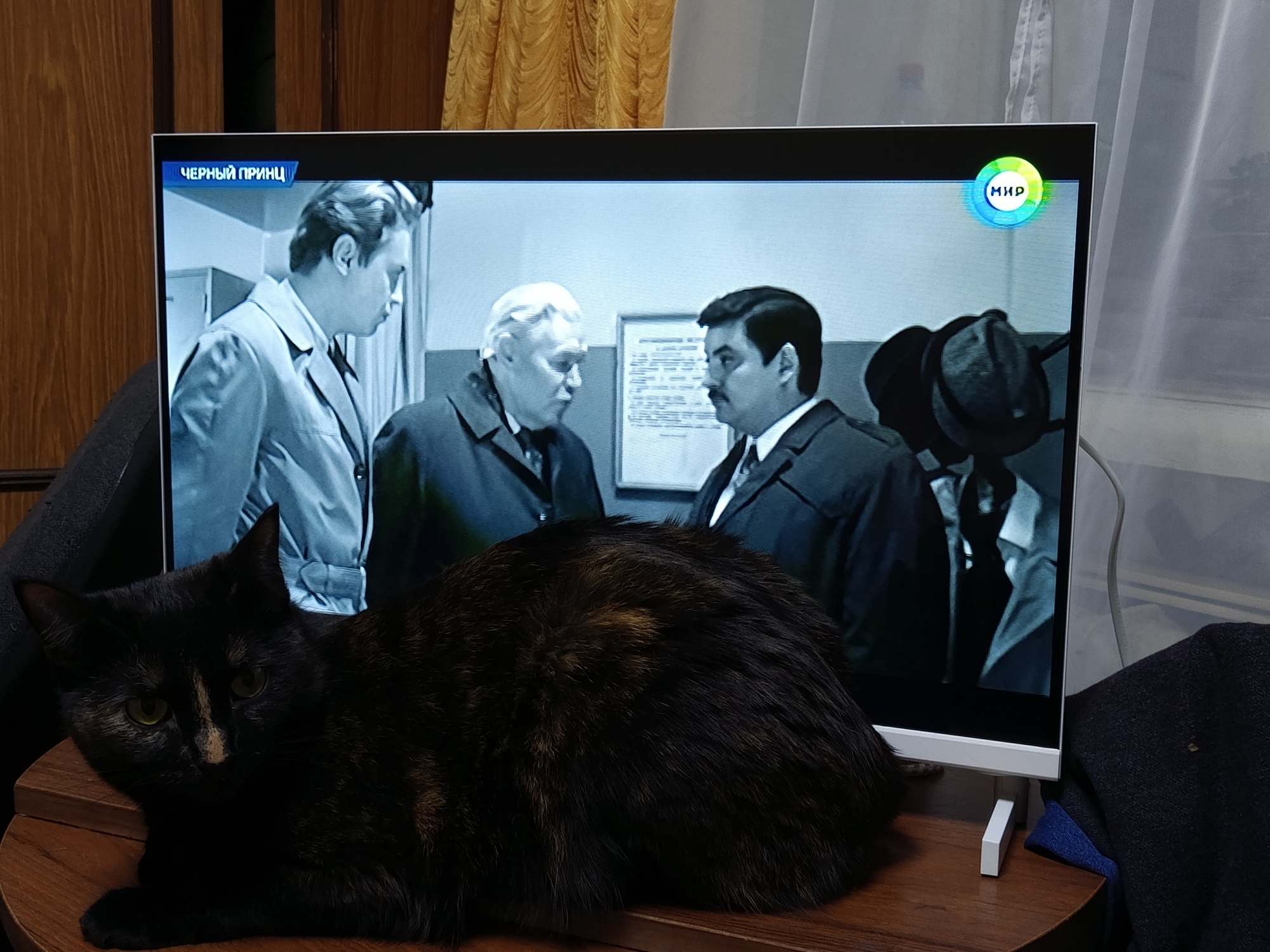 Фотография к отзыву