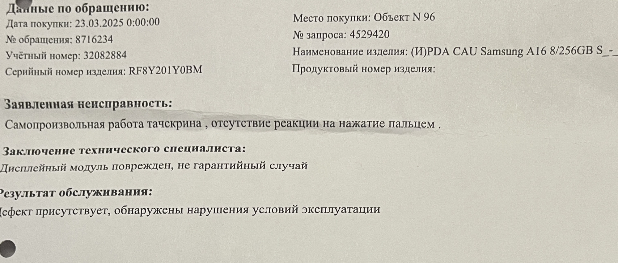 Фотография к отзыву
