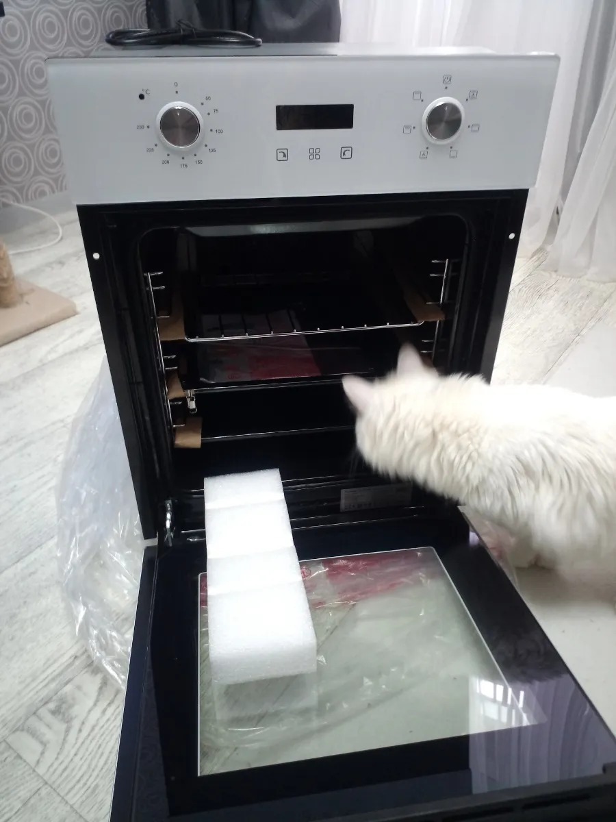 Фотография к отзыву