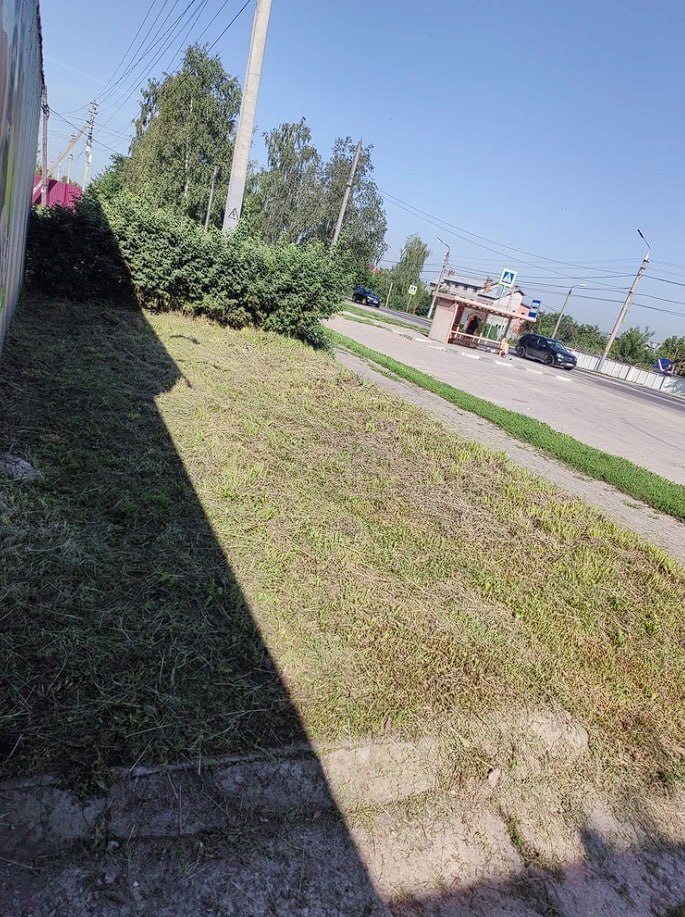 Фотография к отзыву