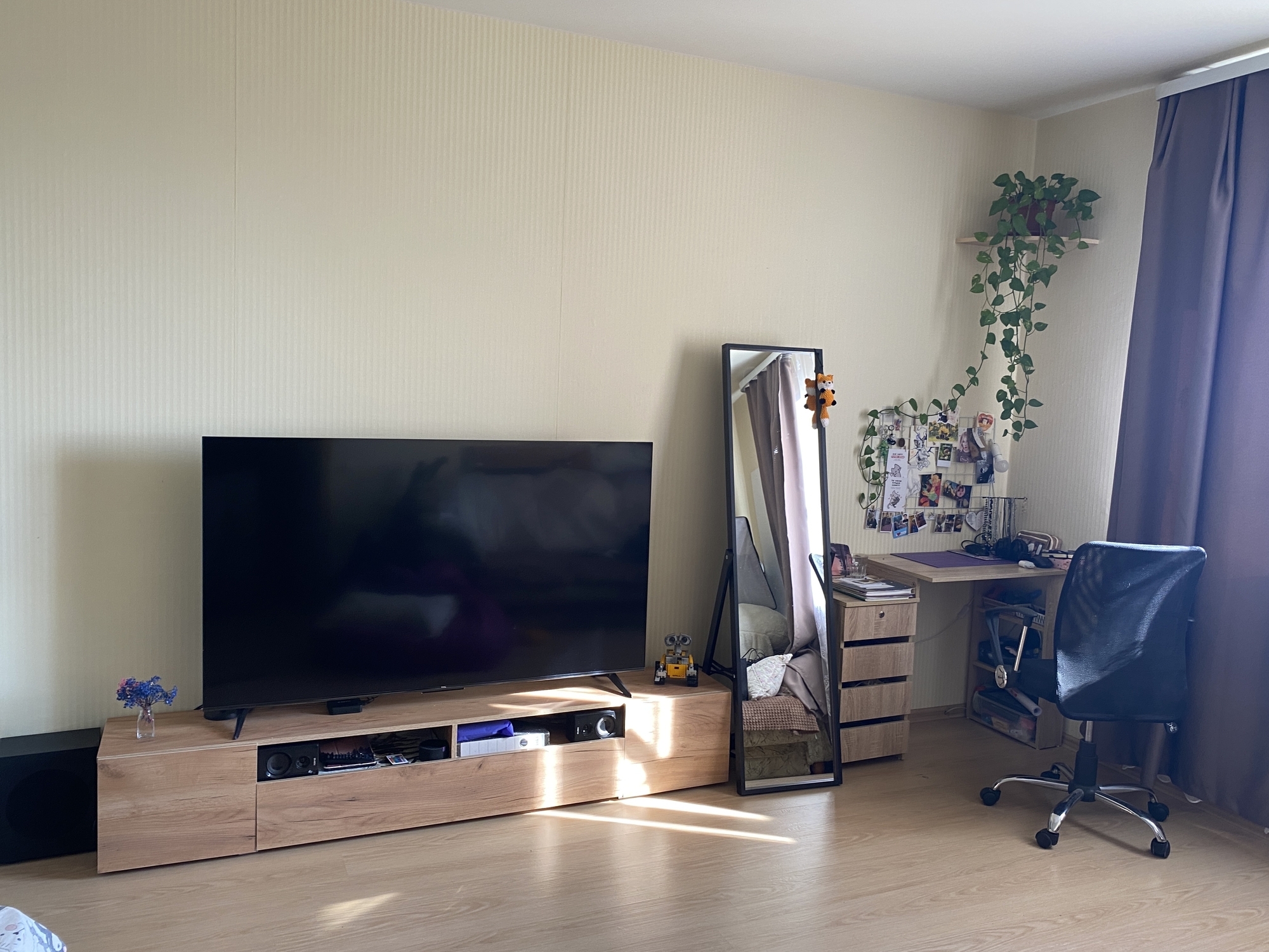 Фотография к отзыву