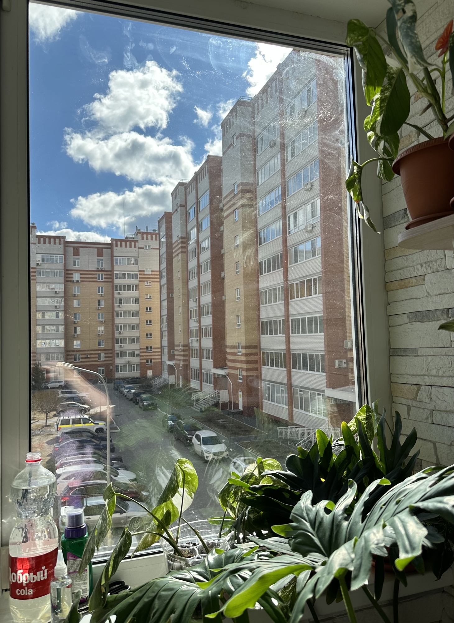 Фотография к отзыву