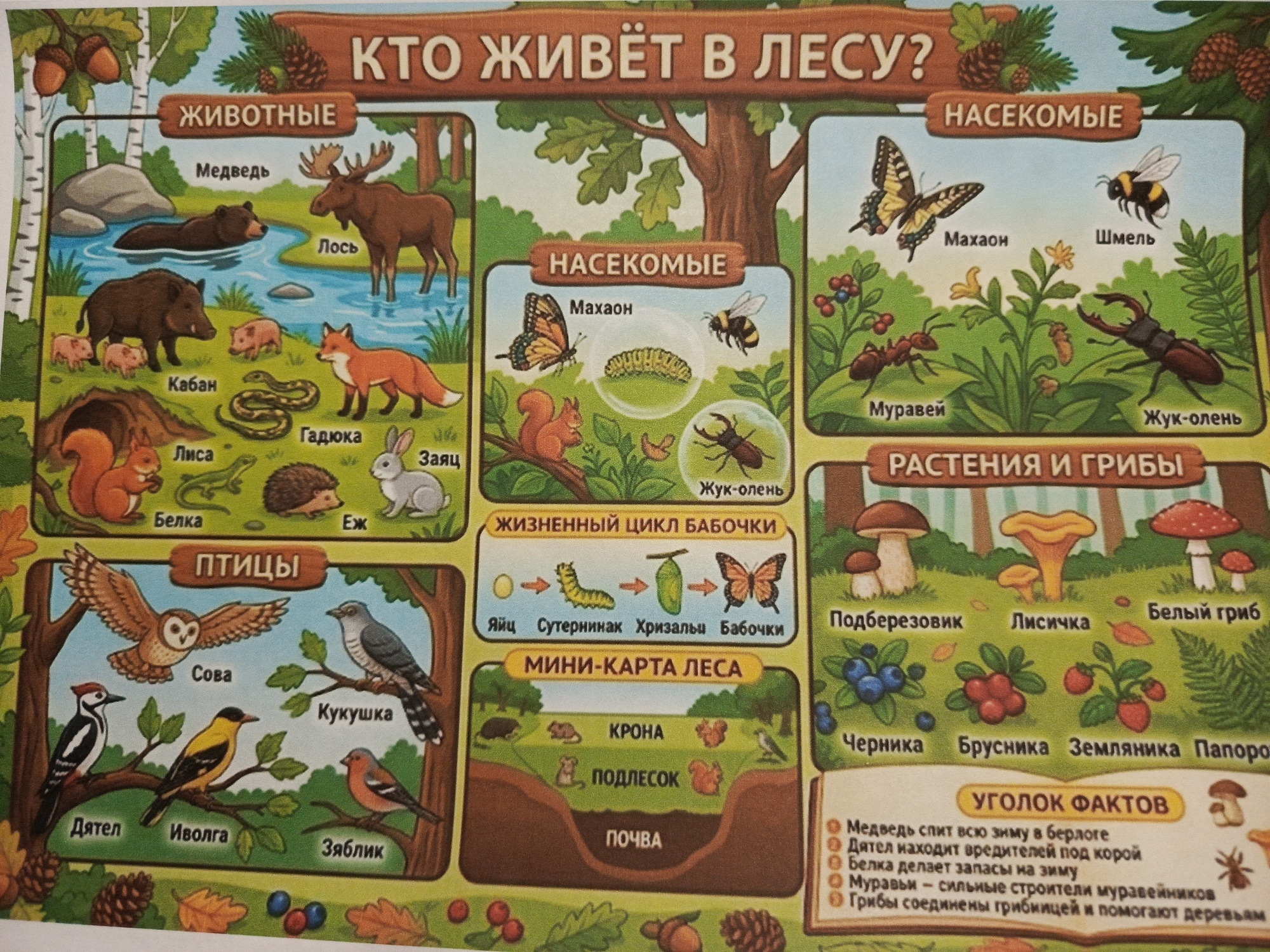 Фотография к отзыву