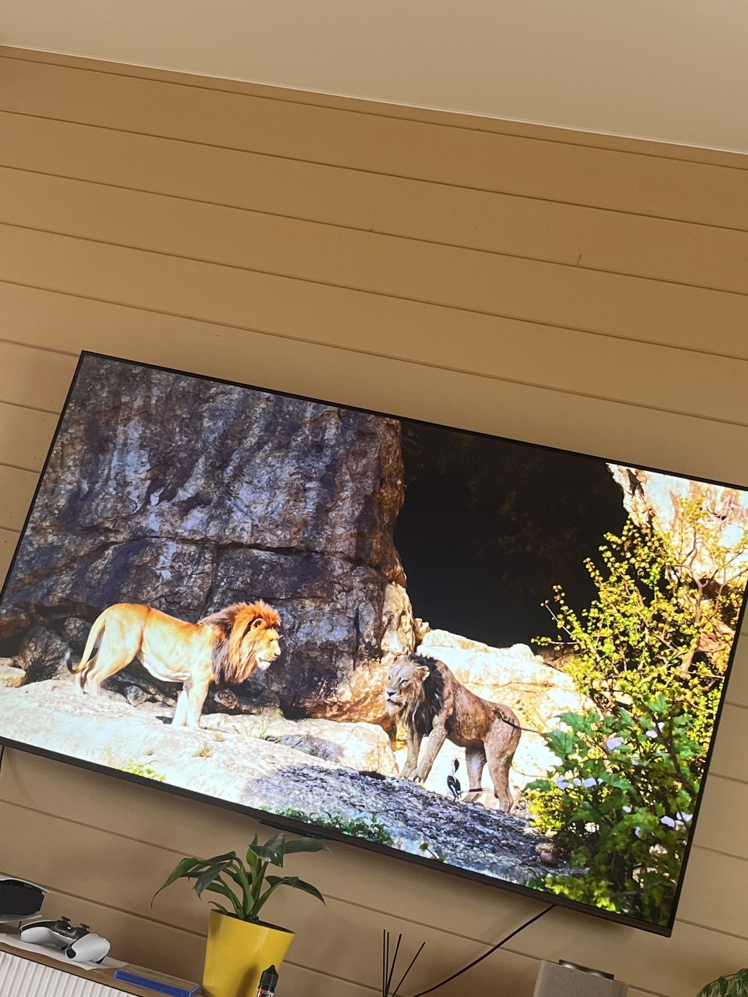 Фотография к отзыву