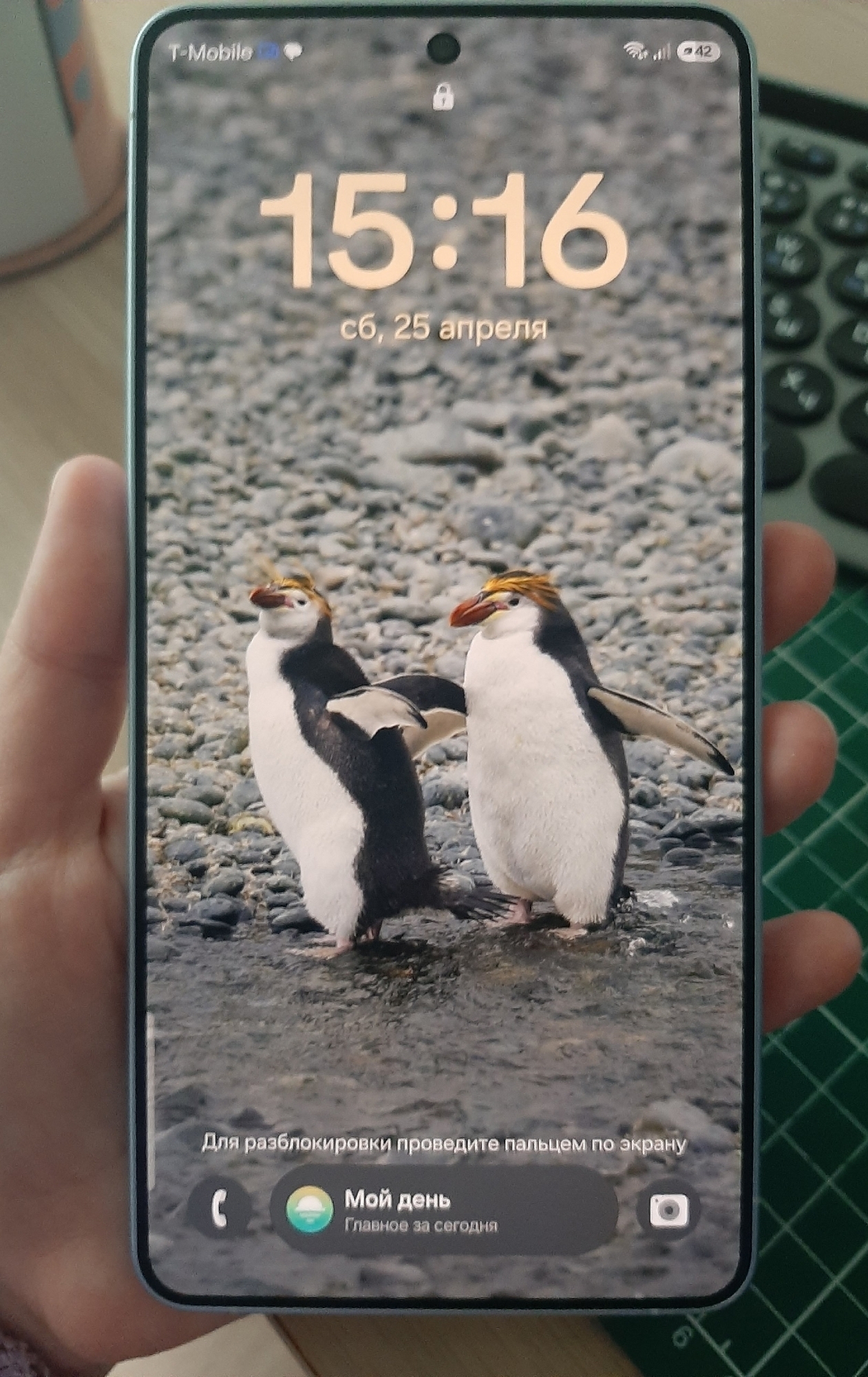 Фотография к отзыву