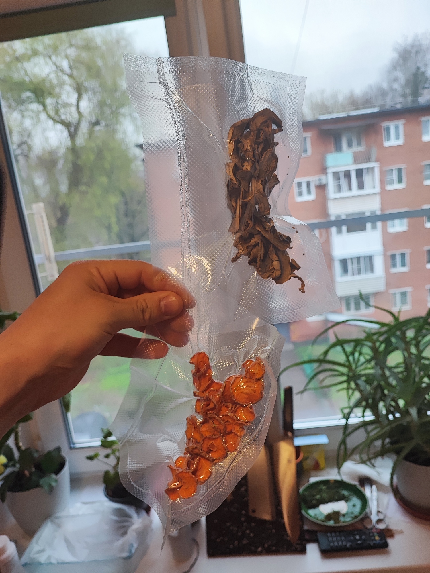'Отзыв'