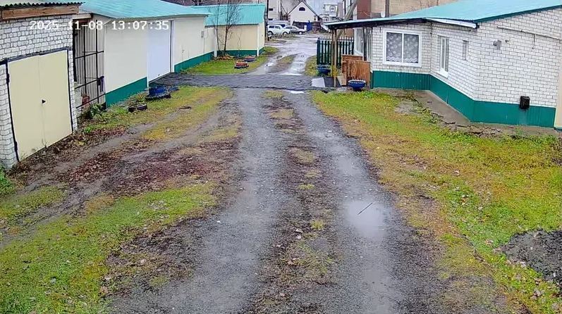 Фотография к отзыву