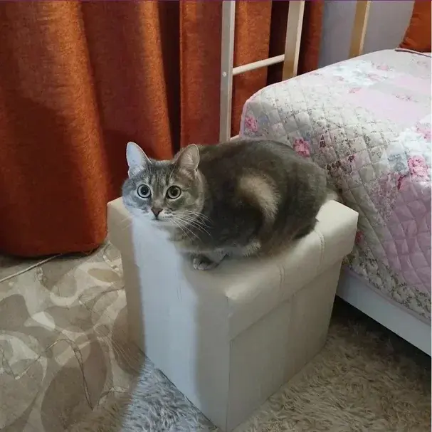 Фотография к отзыву