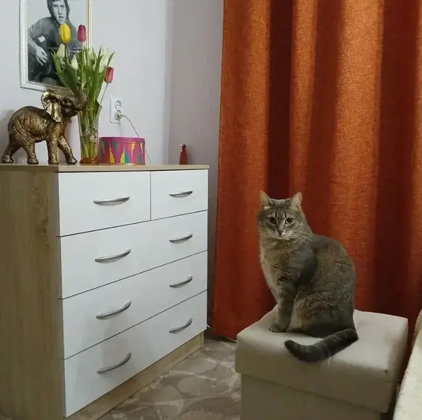 'Отзыв'