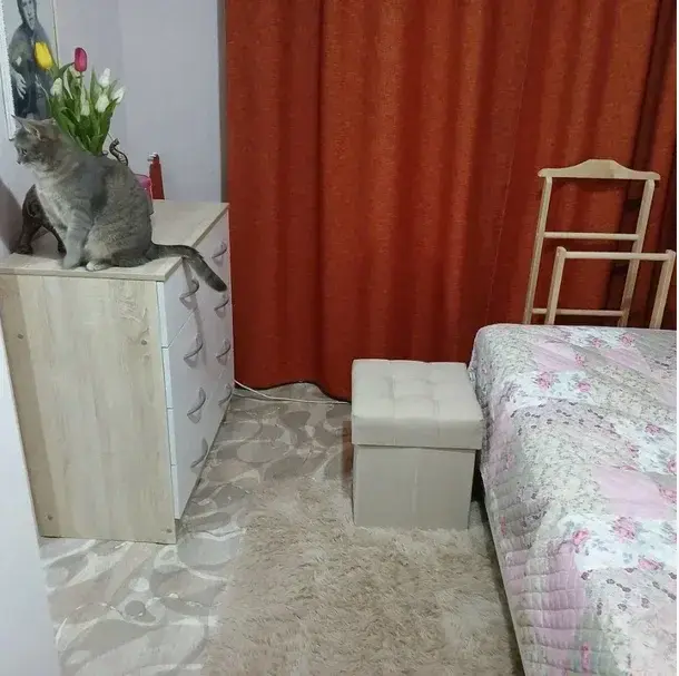Фотография к отзыву