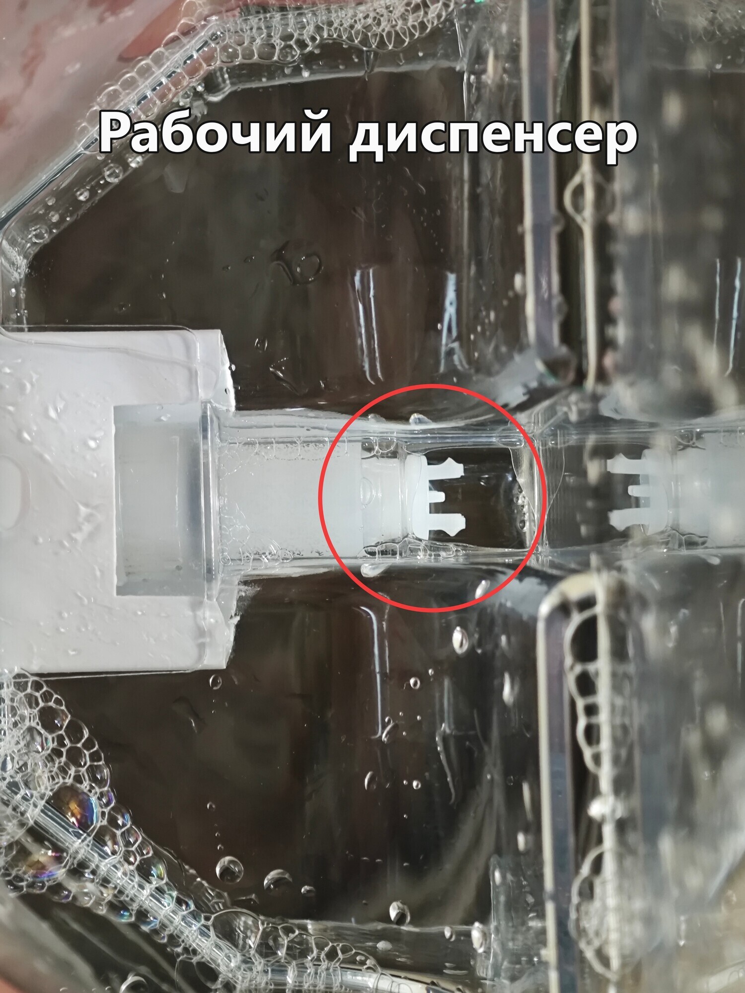 Фотография к отзыву