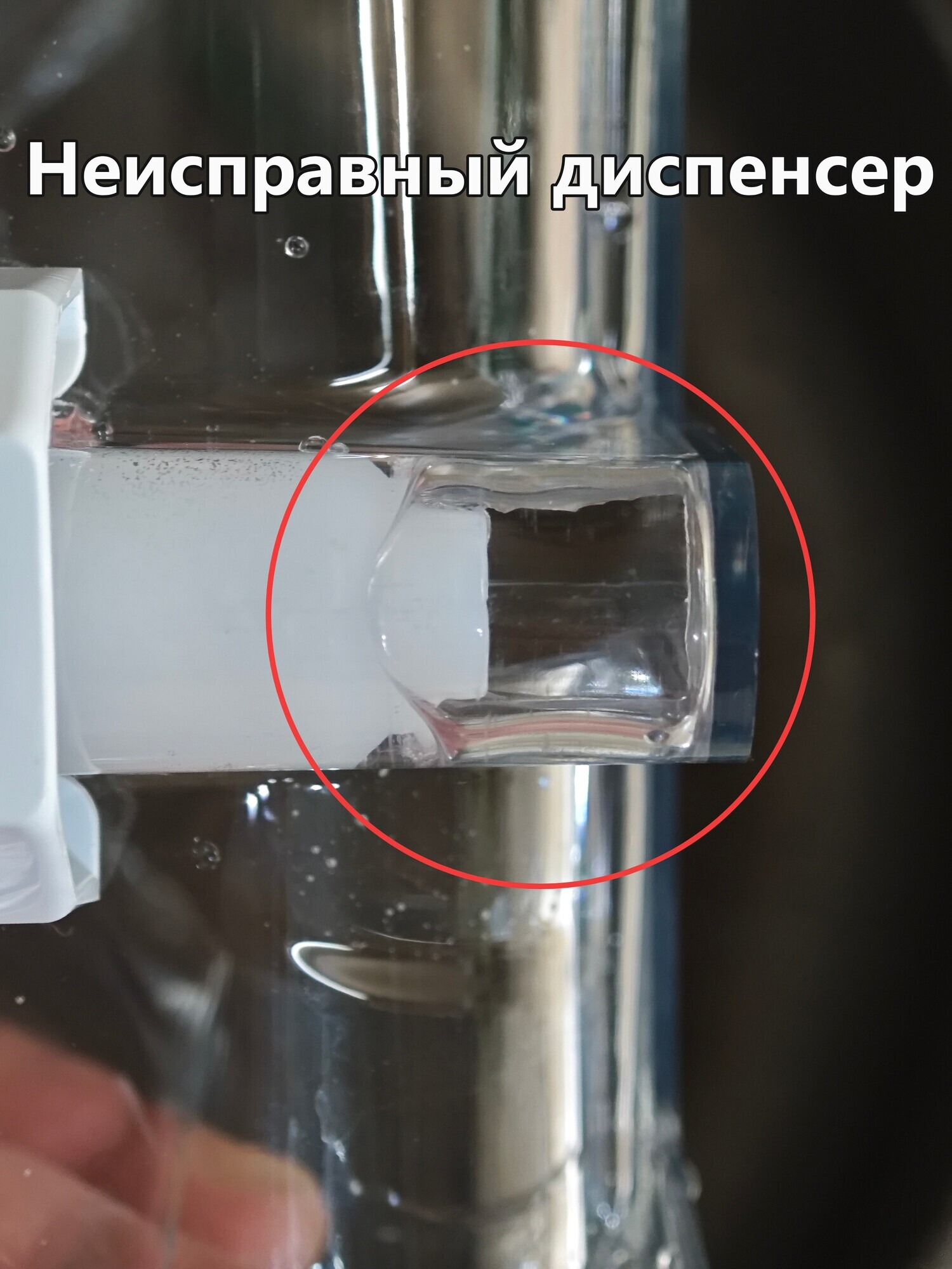 Фотография к отзыву