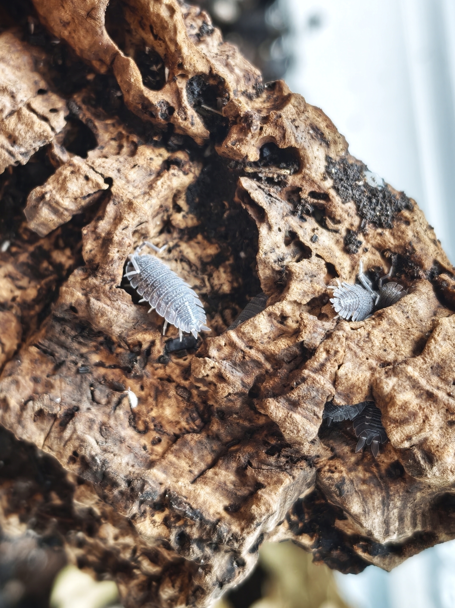 Фотография к отзыву