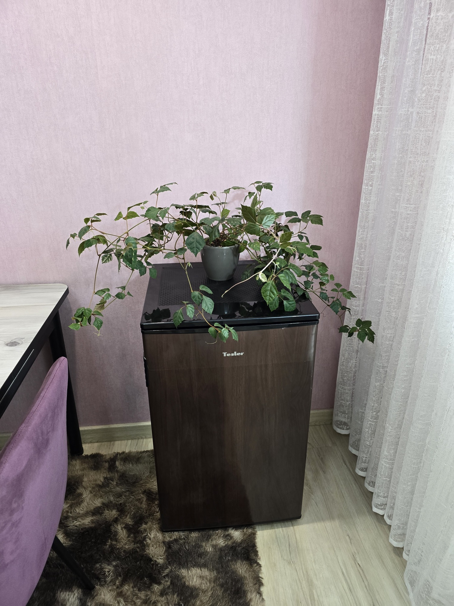 'Отзыв'