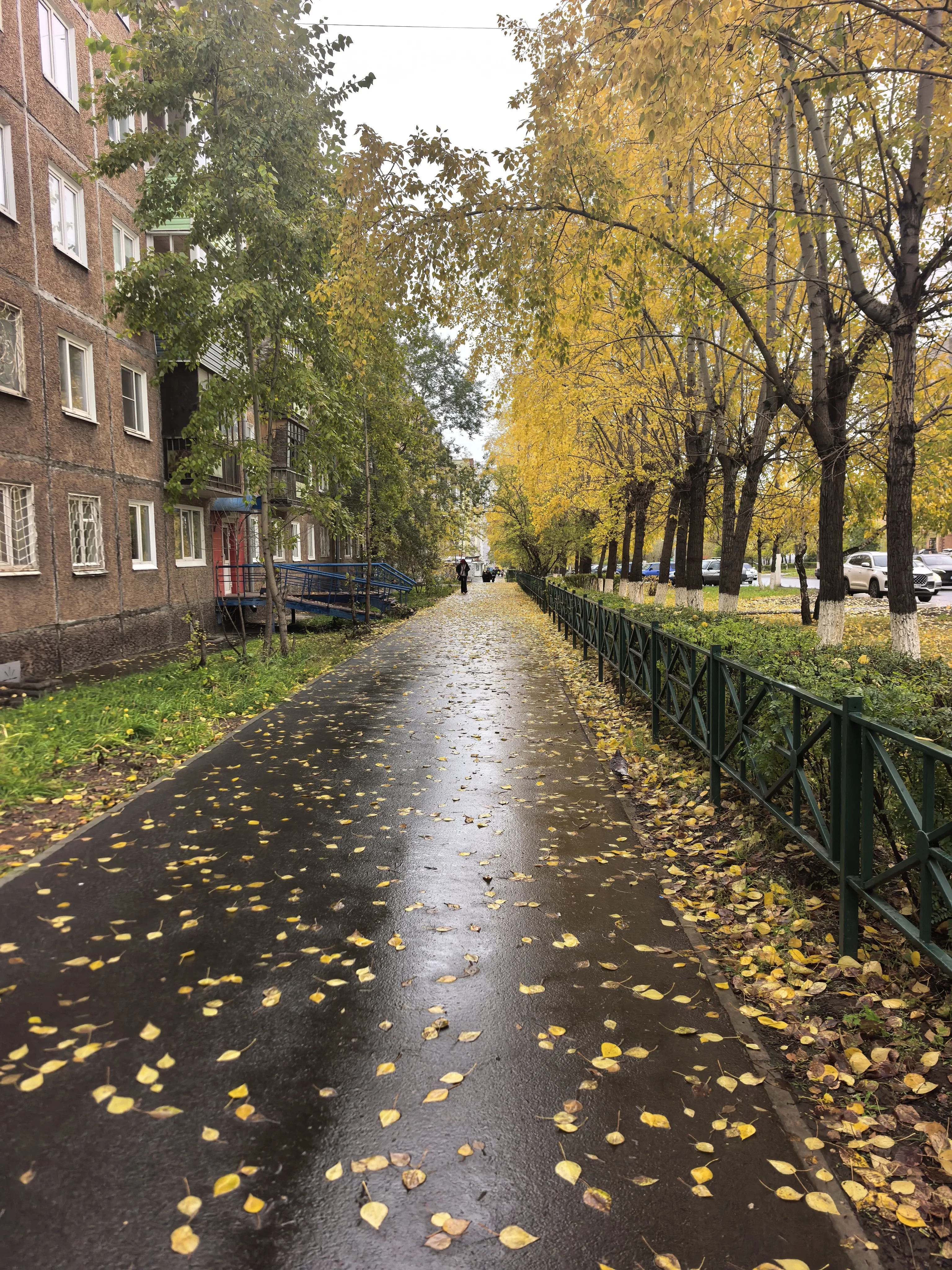 Фотография к отзыву