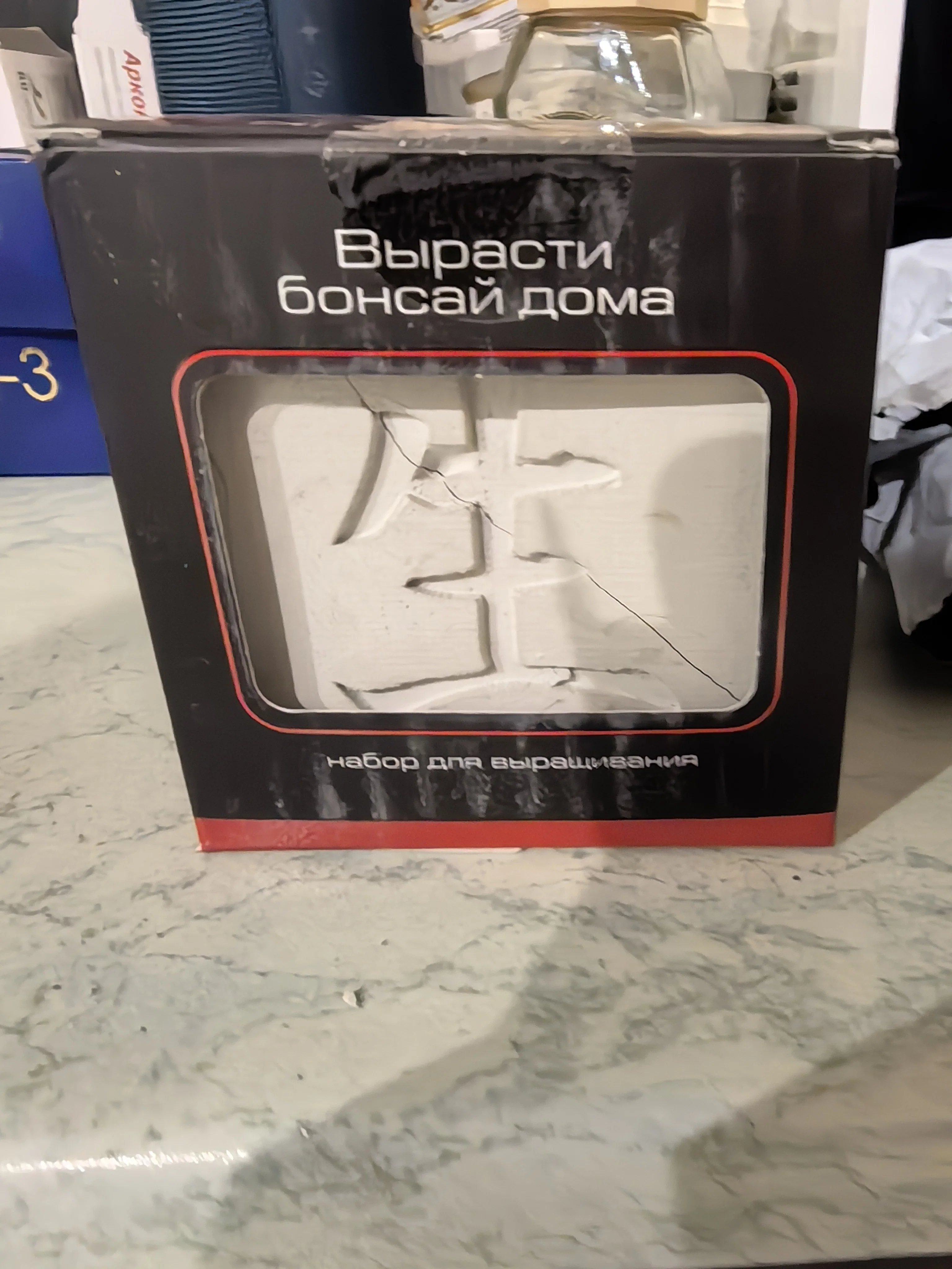Фотография к отзыву