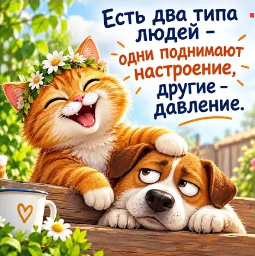 Фотография к отзыву