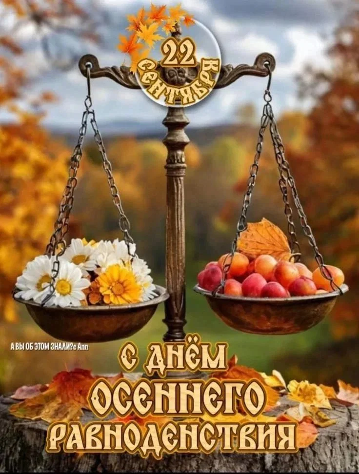 'Отзыв'