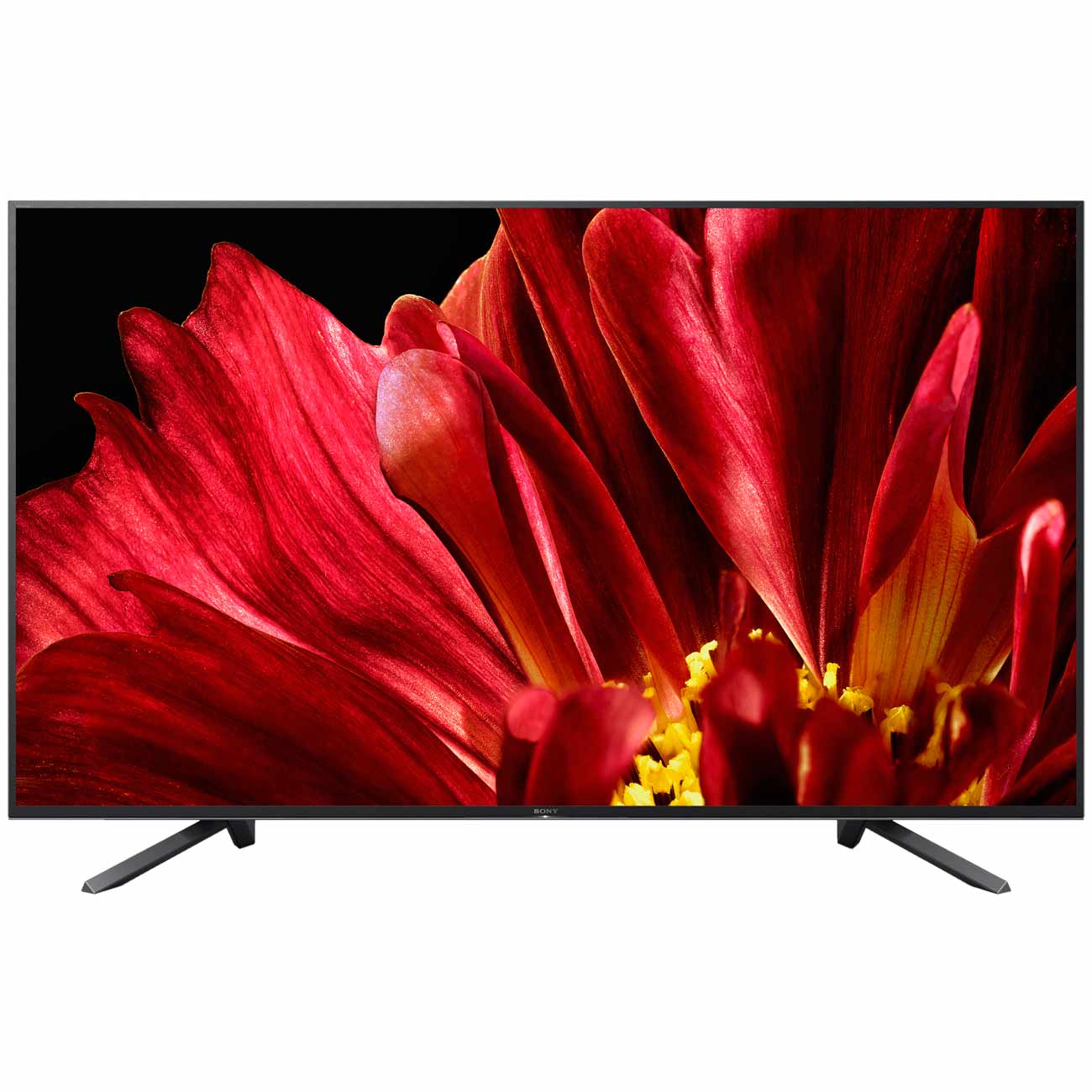 Телевизор Sony KD-75ZF9 фото
