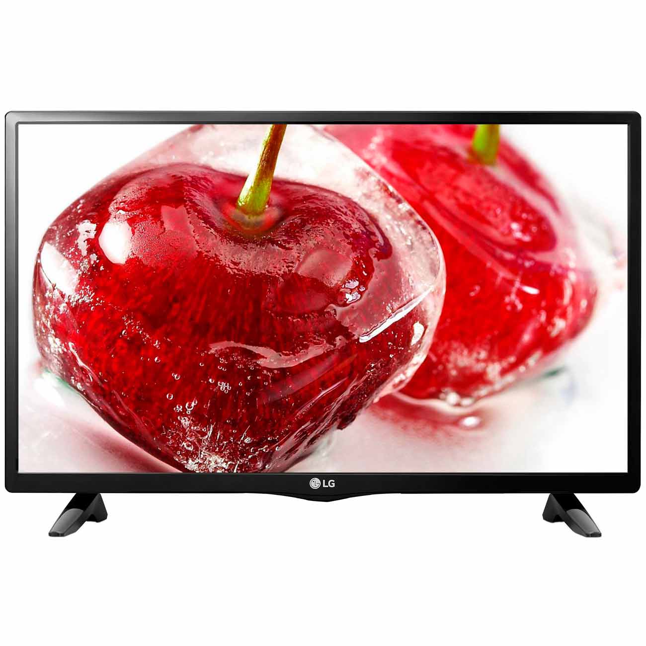 Телевизор LG 24LK451V-PZ
