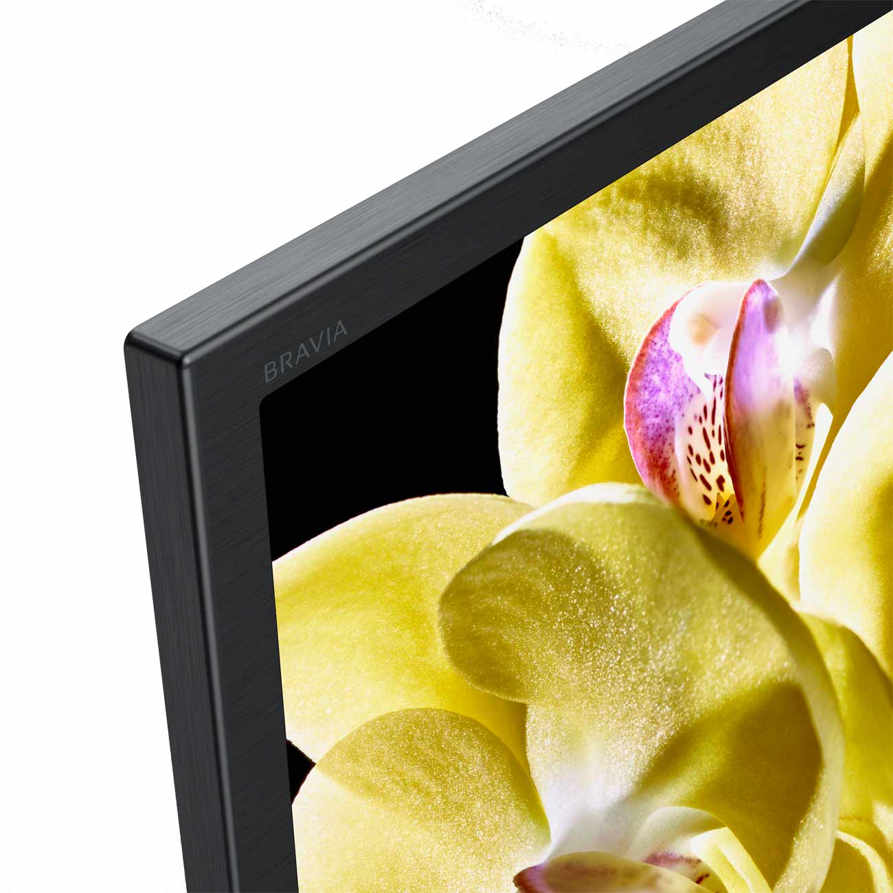 Телевизор Sony KD-75XG8096