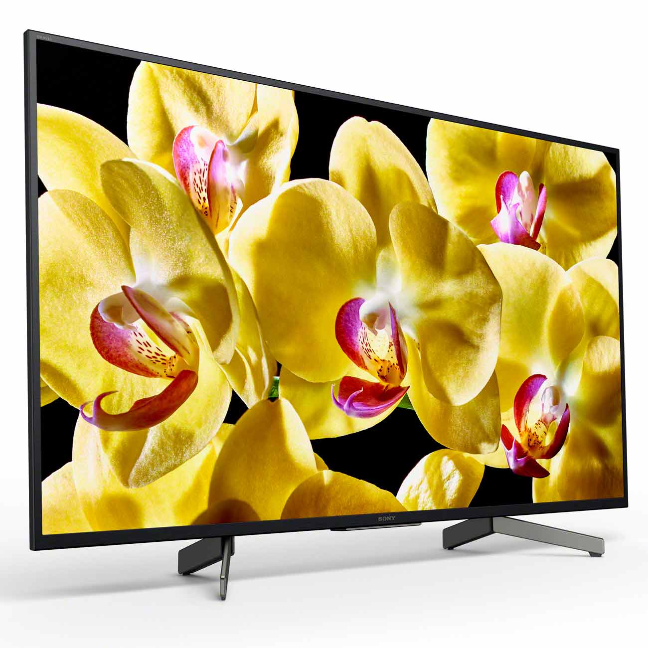 Телевизор Sony KD-43XG8096